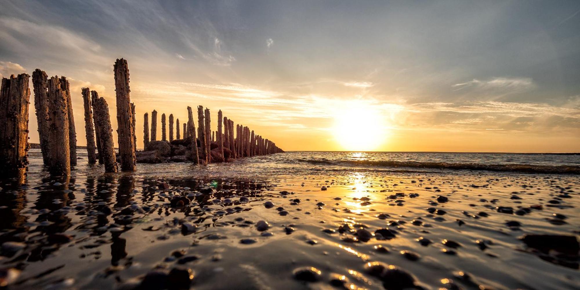 Arche Svea Kiebitz Spiekeroog Exteriér fotografie